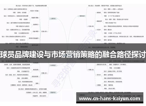 球员品牌建设与市场营销策略的融合路径探讨