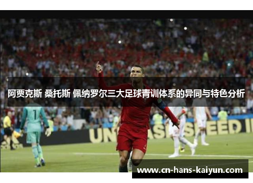 阿贾克斯 桑托斯 佩纳罗尔三大足球青训体系的异同与特色分析